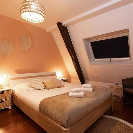 La Loge By "Cosy Morning" Havre De Paix Au Centre De Colmar, Ideal Pour 4 Personnes Exterior foto